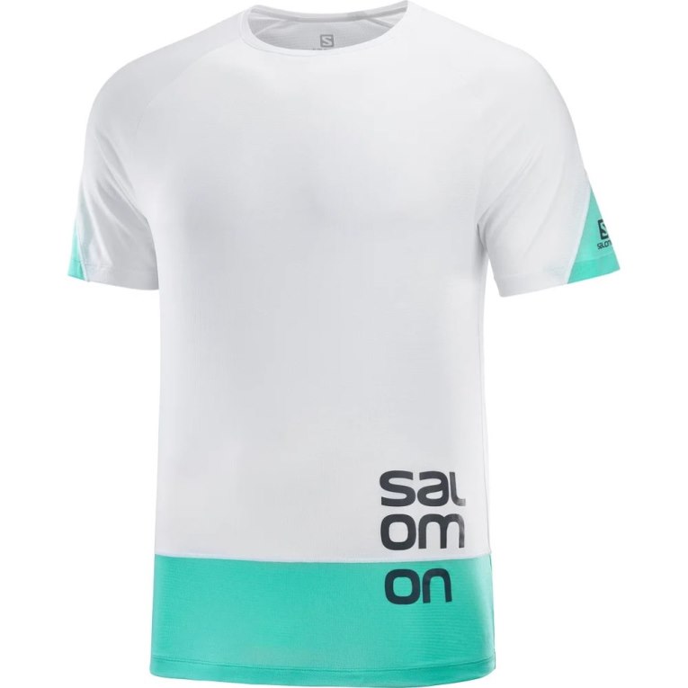 White / Turquoise Salomon Cross Run Graphic Short Sleeve Men's T-Shirts | PH 68591W